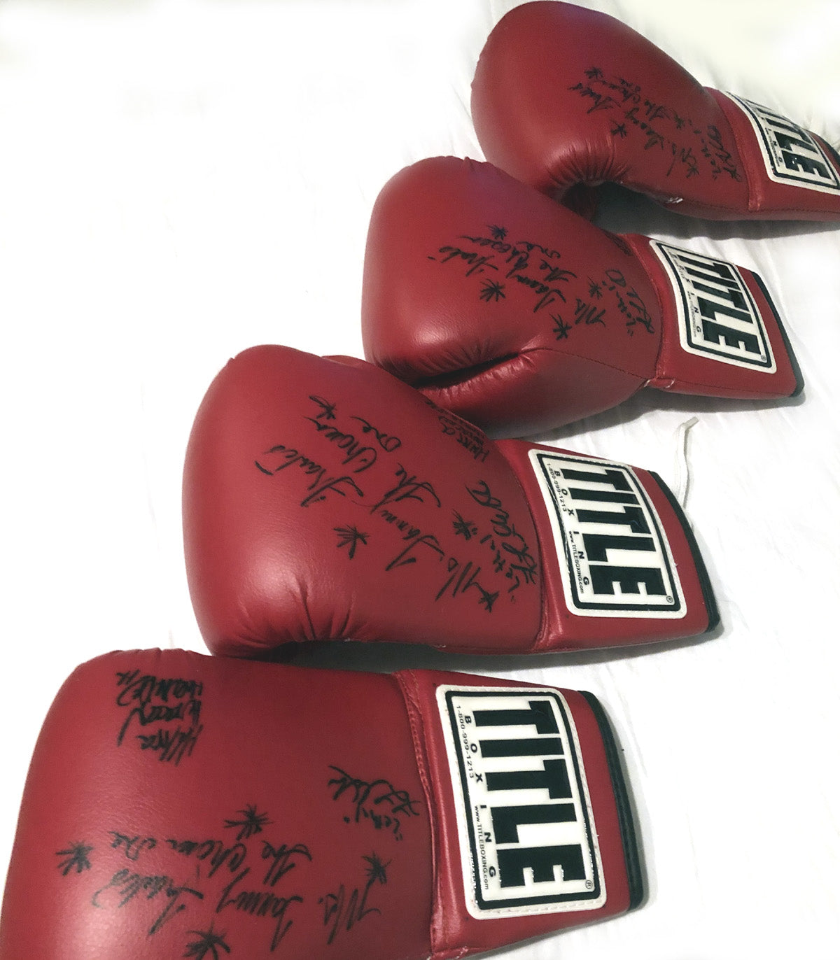 One (1) Autographed Glove at WBAN P4P Event - October 16, 2010 - New Mexico